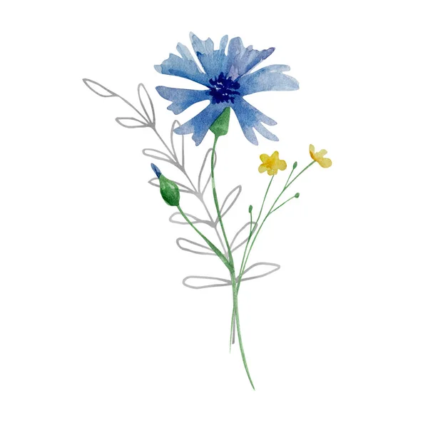 Aquarel Boeket Van Wilde Bloemen Illustratie Voor Kaarten Uitnodigingen — Stockfoto