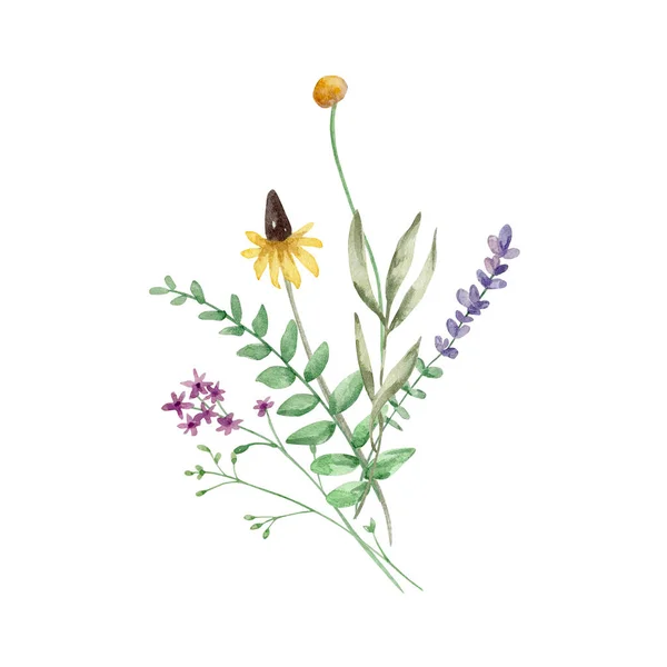 Akvarel Kytice Divokých Květin Ilustrace Karty Pozvánky — Stock fotografie