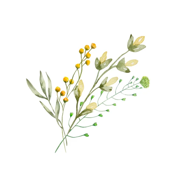 Akvarell Bukett Vilda Blommor Illustration För Kort Och Inbjudningar — Stockfoto