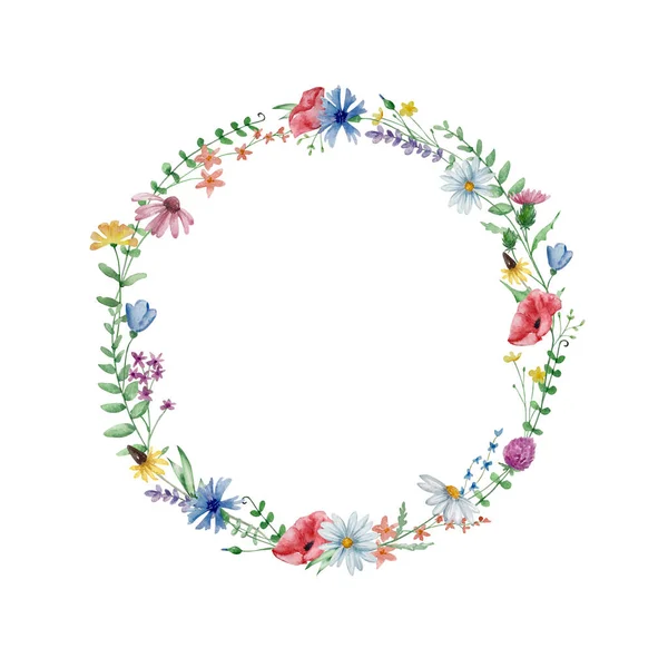 Rahmen Aus Aquarell Wildblumen Zur Gestaltung Von Einladungen Und Karten — Stockfoto