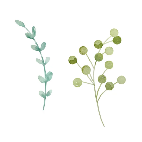 Акварельные Ветви Зелеными Листьями Ботанический Декоративный Дизайн Открыток — стоковое фото