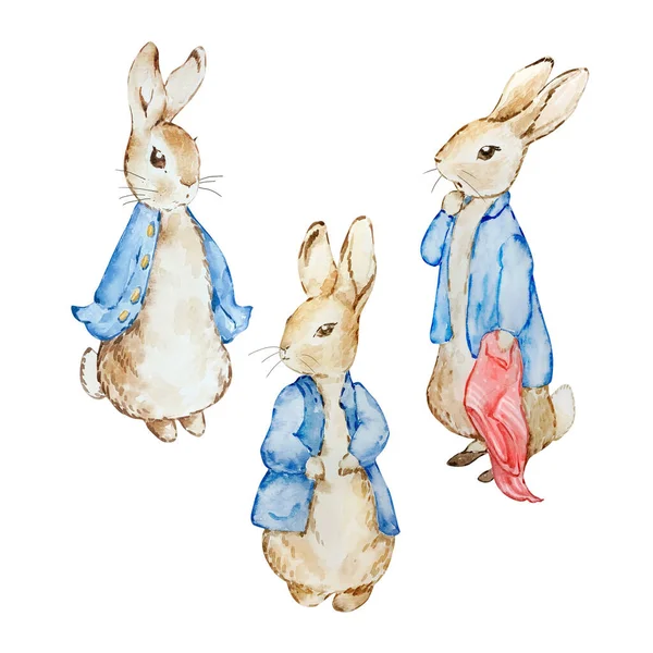 Watercolor Cute Rabbits Blue Jacket Kids Design — 图库照片