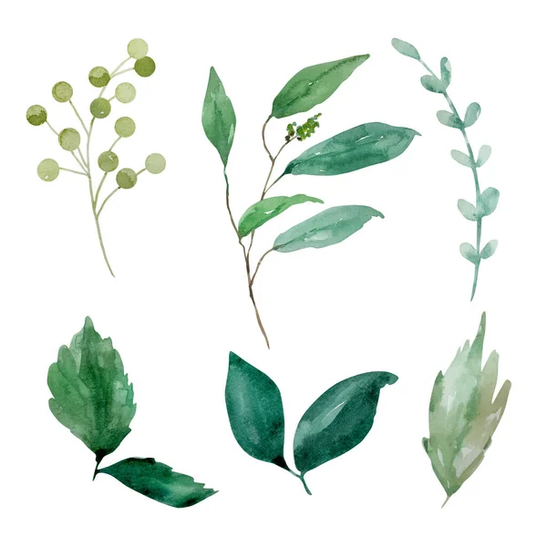 Akvarell Ágak Zöld Levelekkel Növényi Dekoratív Design Képeslapokhoz — Stock Fotó