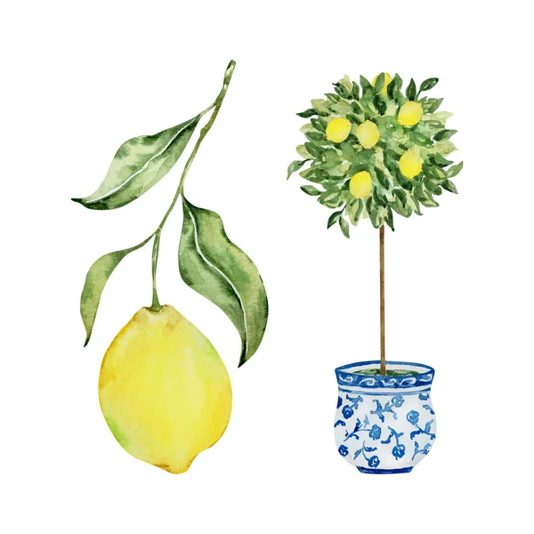 Watercolor Branches Lemons Leaves Juicy Fruits — Zdjęcie stockowe
