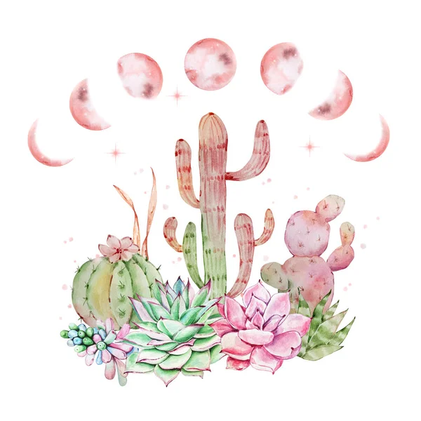 Watercolor Illustration Cactus Moon Phases Design Print — Stock Fotó
