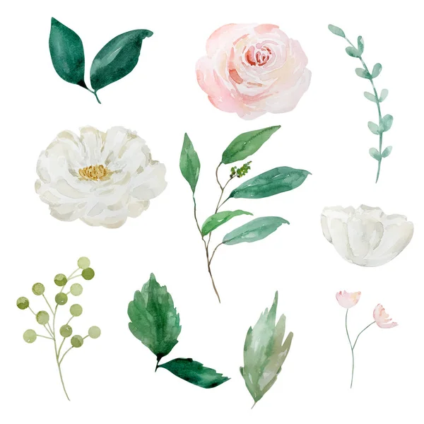 Aquarell Blumen Und Zweige Botanische Dekoration Für Postkarten — Stockfoto
