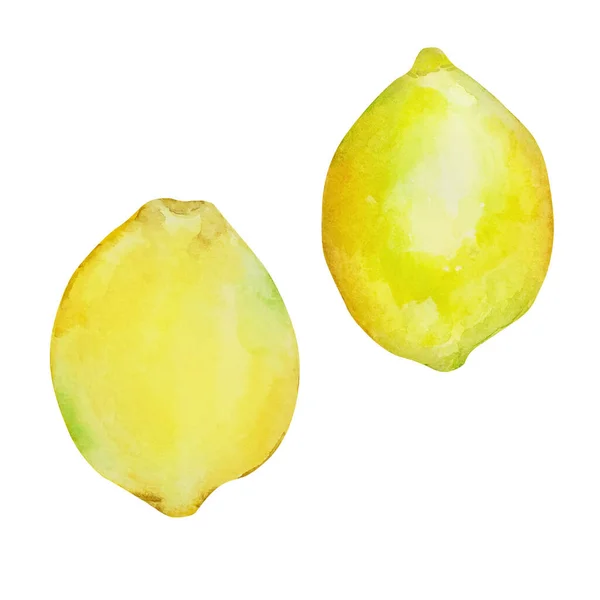 Акварельные Ветви Лимонами Листьями Сочные Фрукты — стоковое фото
