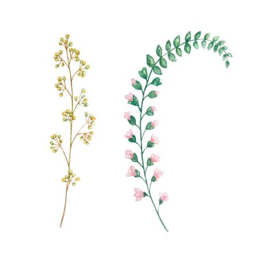 Watercolor wildflowers, delicate botanical illustration for design cards and invitations