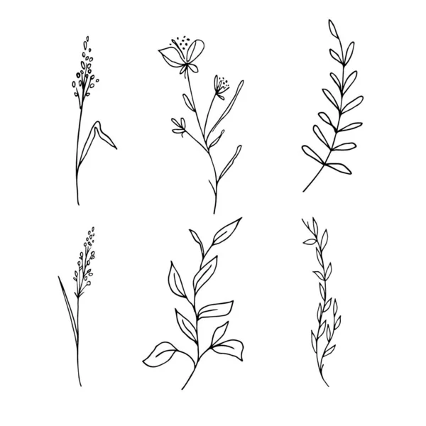 Wildflowers Linia Sztuki Ręcznie Rysowane Kwiaty Elementy Botaniczne Projektowania Kart — Zdjęcie stockowe