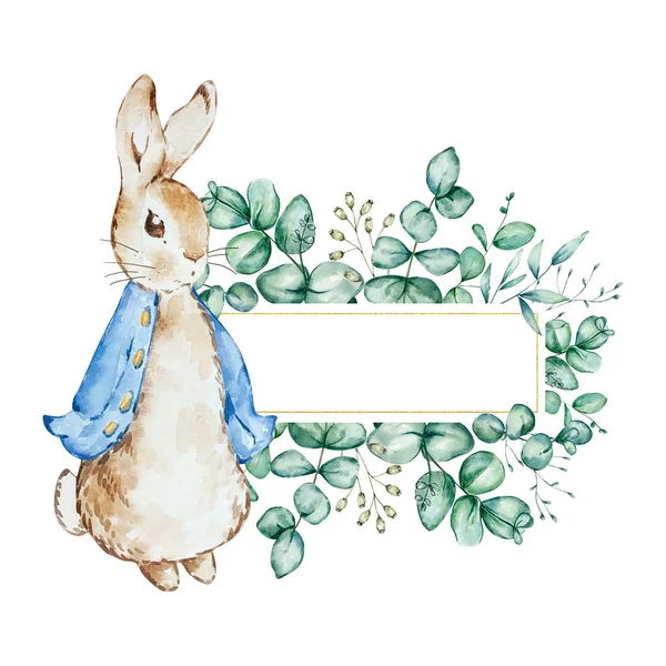Watercolor Spring Peter Rabbit Eucalyptus Frame Designs Prints — Stock Photo, Image