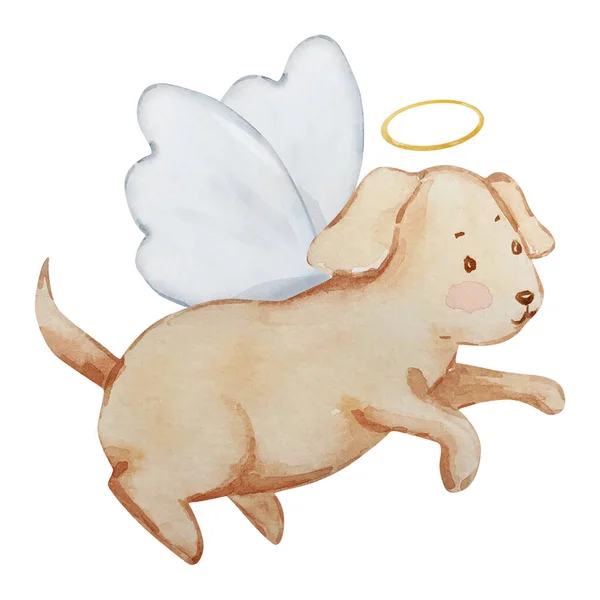 Aquarela Pouco Bonito Baby Angel Cão Para Convites Infantis Cartões — Fotografia de Stock