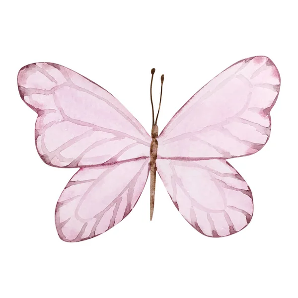 Акварель Розовая Бабочка Оформления Приглашений Открыток — стоковое фото