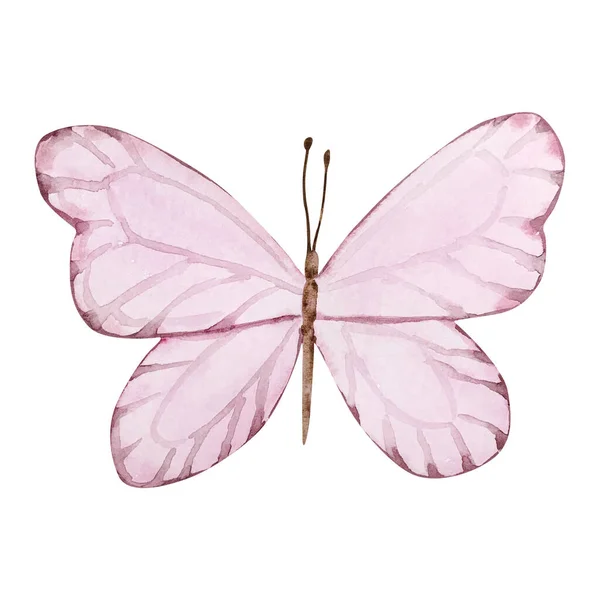 Borboleta Rosa Aquarela Desenho Convites Cartões — Fotografia de Stock