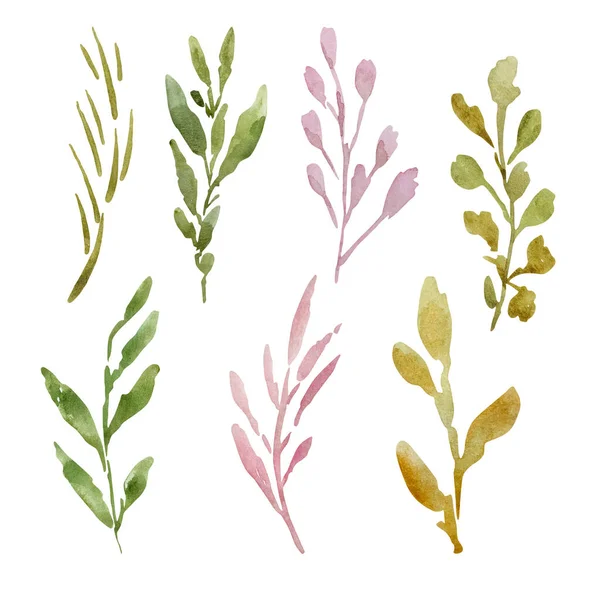 Aquarell Set Zweige Mit Blättern Für Frühlingsgestaltung Von Einladungen Und — Stockfoto