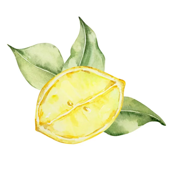 Akvarell Sammansättning Saftig Citron Och Blad Medelhavet Illustration För Design — Stockfoto