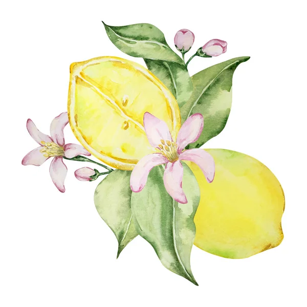 Composición Acuarela Jugosos Limones Flores Hojas Ilustración Mediterránea Para Diseño — Foto de Stock