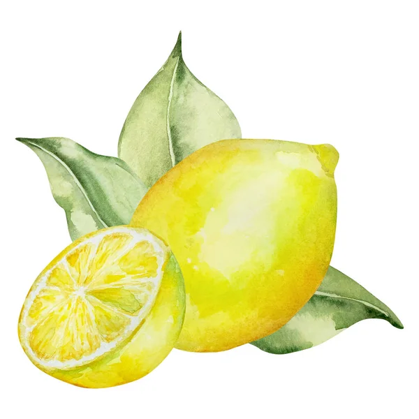 Акварельная Композиция Сочный Лимон Листья Средиземноморская Иллюстрация Дизайна — стоковое фото