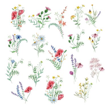 Yaban çiçeklerinin suluboya buketi, kartlar ve davetiyeler için illüstrasyon