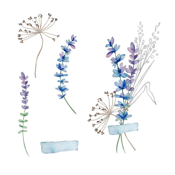 ワイルドフラワーの水彩花束 カードや招待状のイラスト — ストック写真
