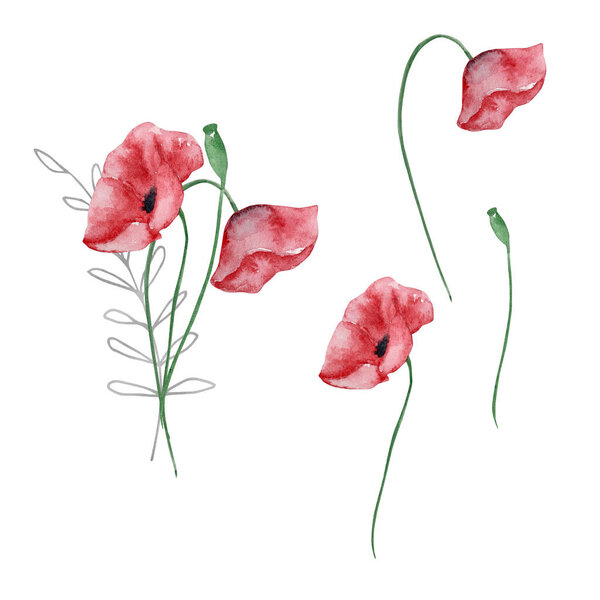 Акварельный букет полевых цветов, иллюстрация для открыток и приглашений