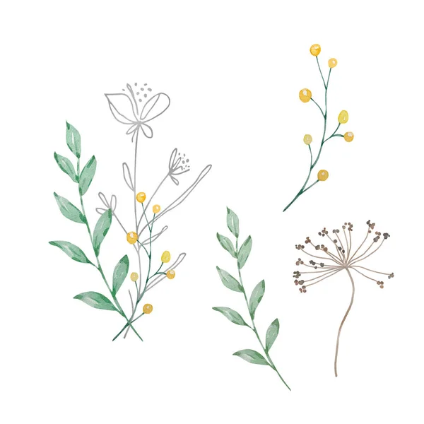 Buquê Aquarela Flores Silvestres Ilustração Para Cartões Convites — Fotografia de Stock