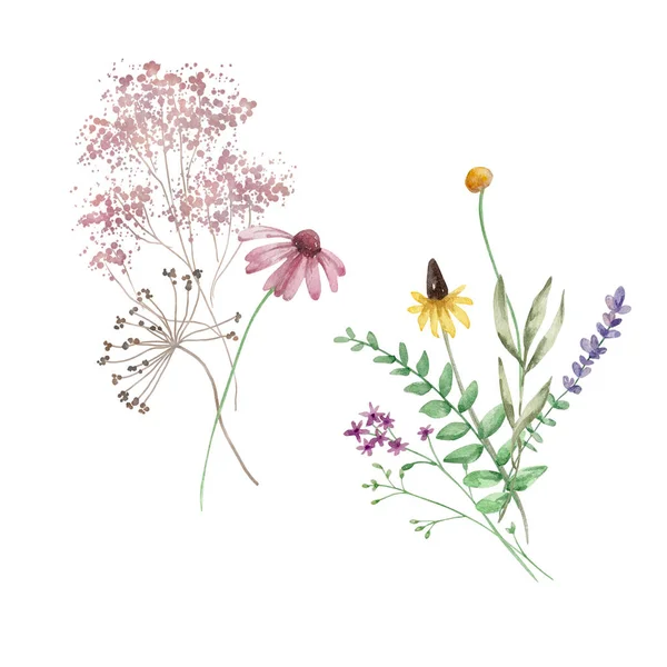 Akvarell Csokor Vadvirágok Illusztráció Kártyák Meghívók — Stock Fotó
