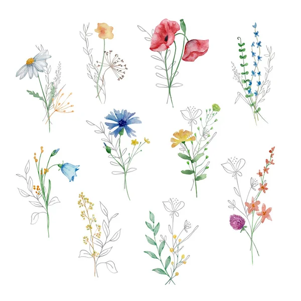 Akvarell Csokor Vadvirágok Illusztráció Kártyák Meghívók — Stock Fotó