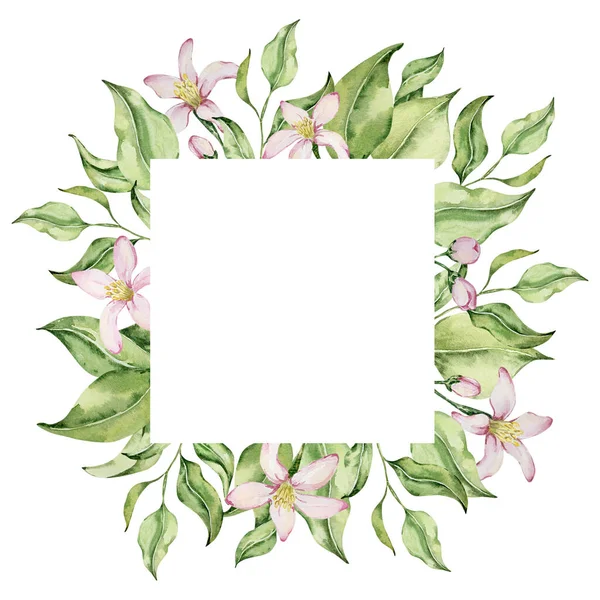Kwadratowa Rama Akwareli Cytryny Kwiaty Liście Projektowania Zaproszeń — Zdjęcie stockowe