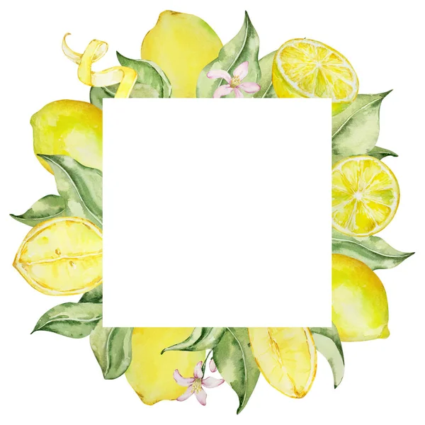 Marco Cuadrado Limones Acuarela Flores Hojas Para Diseño Invitación — Foto de Stock