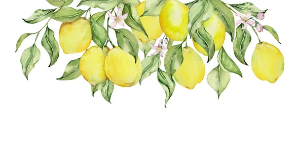 Borda Armação Limões Aquarela Flores Folhas Para Design Convite — Fotografia de Stock
