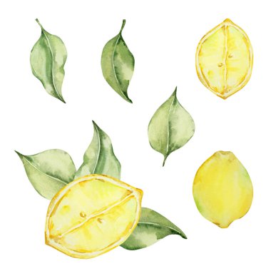 Suluboya sulu limon ve yapraklar, tasarım için Akdeniz çizimi