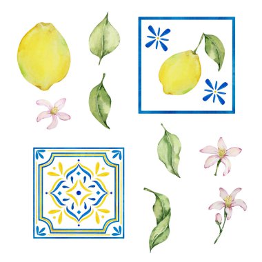 Suluboya sulu limon ve yapraklar, tasarım için Akdeniz çizimi