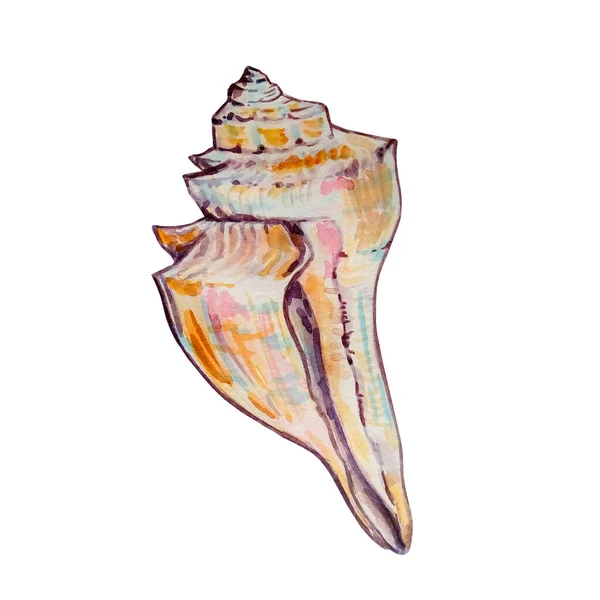 Watercolor Colorido Concha Mão Desenhada Ilustração Para Design Impressão — Fotografia de Stock