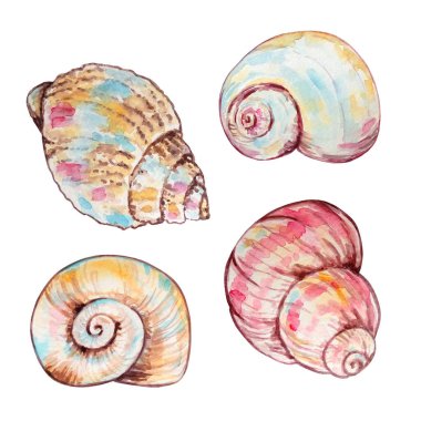 Tasarım ve baskı için suluboya renkli sualtı yaşam çizelgesi