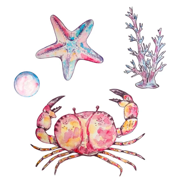 水彩斑斓的海星和螃蟹图解 用于设计和印刷 — 图库照片