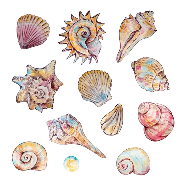 Aquarel Kleurrijke Onderwater Leven Illustratie Voor Ontwerp Print — Stockfoto