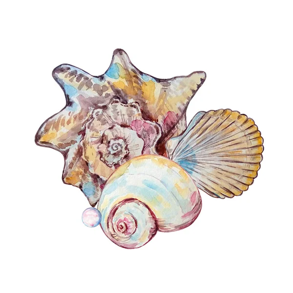Watercolor Colorful Underwater Life Illustration Design Print — Stock Photo, Image