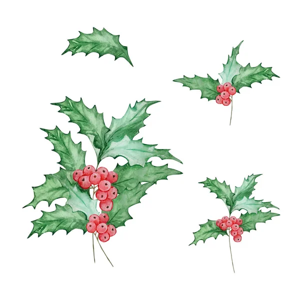 水彩ブーケホリーベリー 12月誕生月の花 プリントとカードのためのデザイン — ストック写真