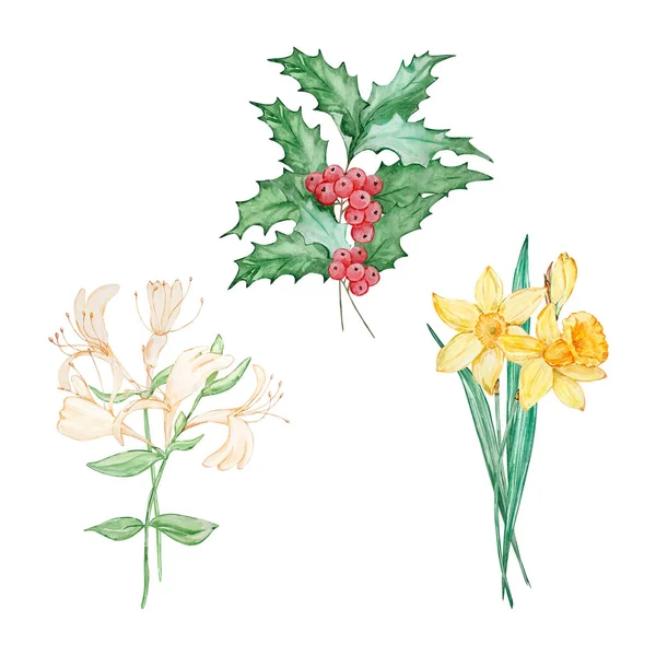 Akvarelové Kytice Narozeného Měsíce Květiny Design Pro Potisky Karty — Stock fotografie