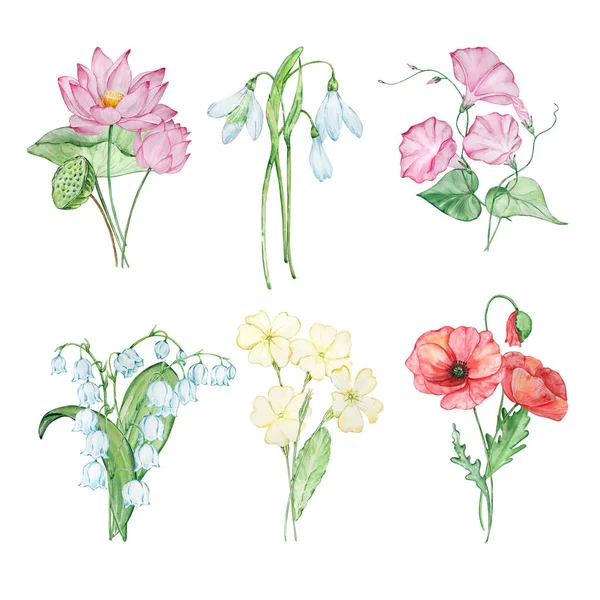 誕生月の花の水彩小花 プリントやカードのデザイン — ストック写真