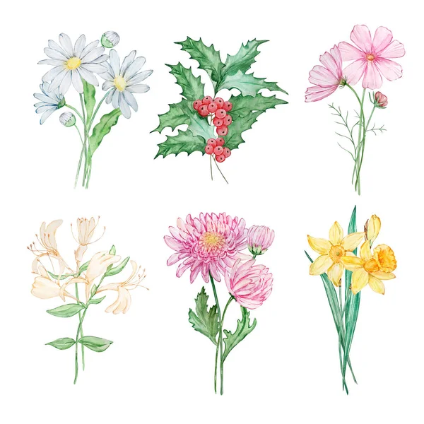 Akvarell Csokrok Születési Hónap Virág Design Nyomatok Kártyák — Stock Fotó
