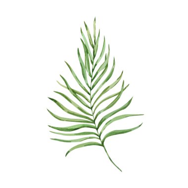 Yaz tasarımları için suluboya parlak yeşil tropikal yaprak