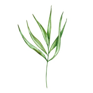 Yaz tasarımları için suluboya parlak yeşil tropikal yaprak