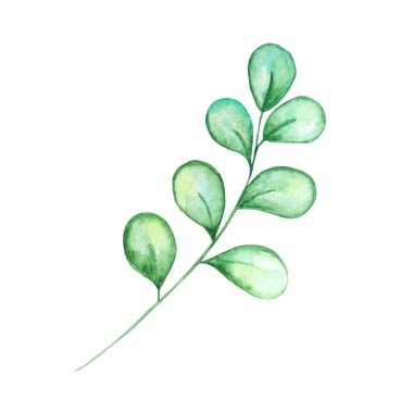 Yaz tasarımları için suluboya parlak yeşil tropikal yaprak