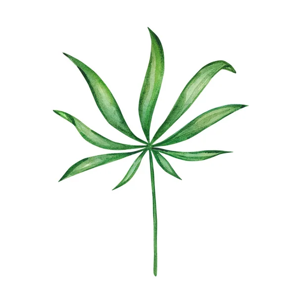 Υδατογραφία Έντονο Πράσινο Τροπικό Φύλλο Για Καλοκαιρινά Σχέδια — Φωτογραφία Αρχείου