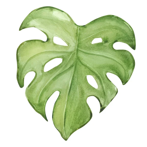 Akvarel Jasně Zelený Tropický List Pro Letní Design — Stock fotografie