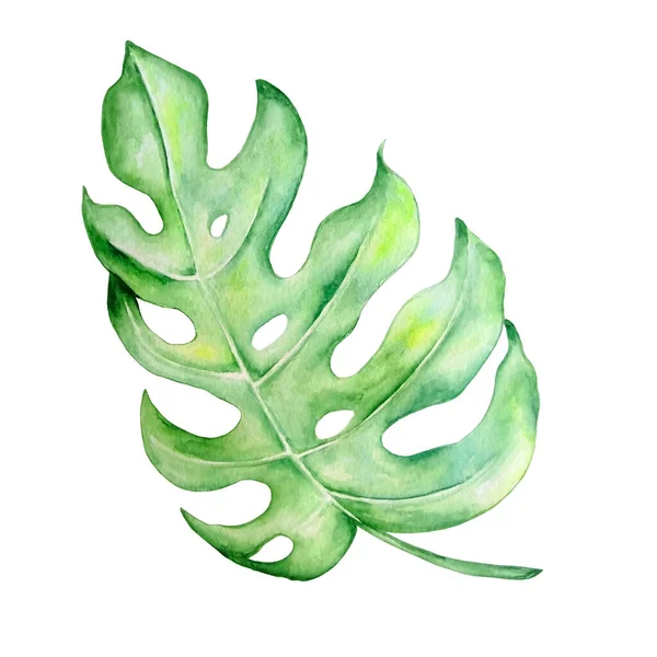Akvarell Ljusa Gröna Tropiska Löv För Sommarmotiv — Stockfoto