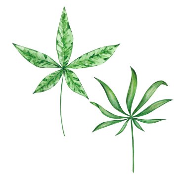 Yaz tasarımları için suluboya parlak yeşil tropikal yapraklar