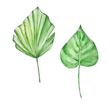 Yaz tasarımları için suluboya parlak yeşil tropikal yapraklar