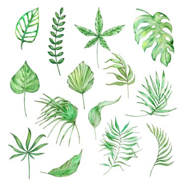 Yaz tasarımları için suluboya parlak yeşil tropikal yapraklar